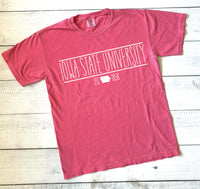 College Shirts | Customized School Shirts With State Outline | Comfort Colors Shirts