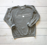 College Sweatshirt | Comfort Colors Sweatshirt