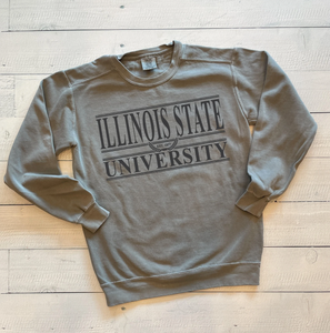 Customized School | Comfort Colors Sweatshirt | College Sweatshirt | Retro Design | Traditional Font