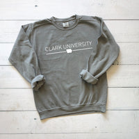 College Sweatshirt | Comfort Colors Sweatshirt